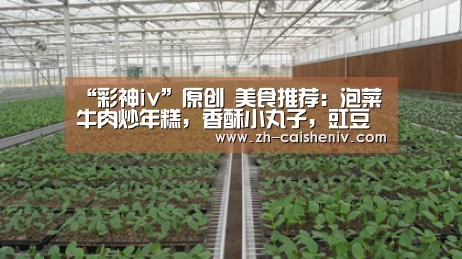 彩神iv