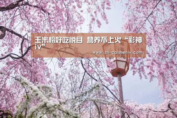 玉米粉好吃悦目 营养不上火“彩神iv”(图2) 彩神iv