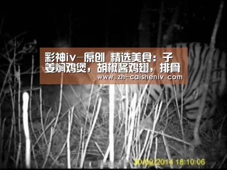 彩神iv