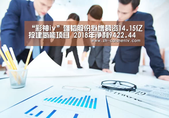 “彩神iv”雄韬股份拟增募资14.15亿投建氢能项目 2018年净利9422.44万(图4) 彩神iv